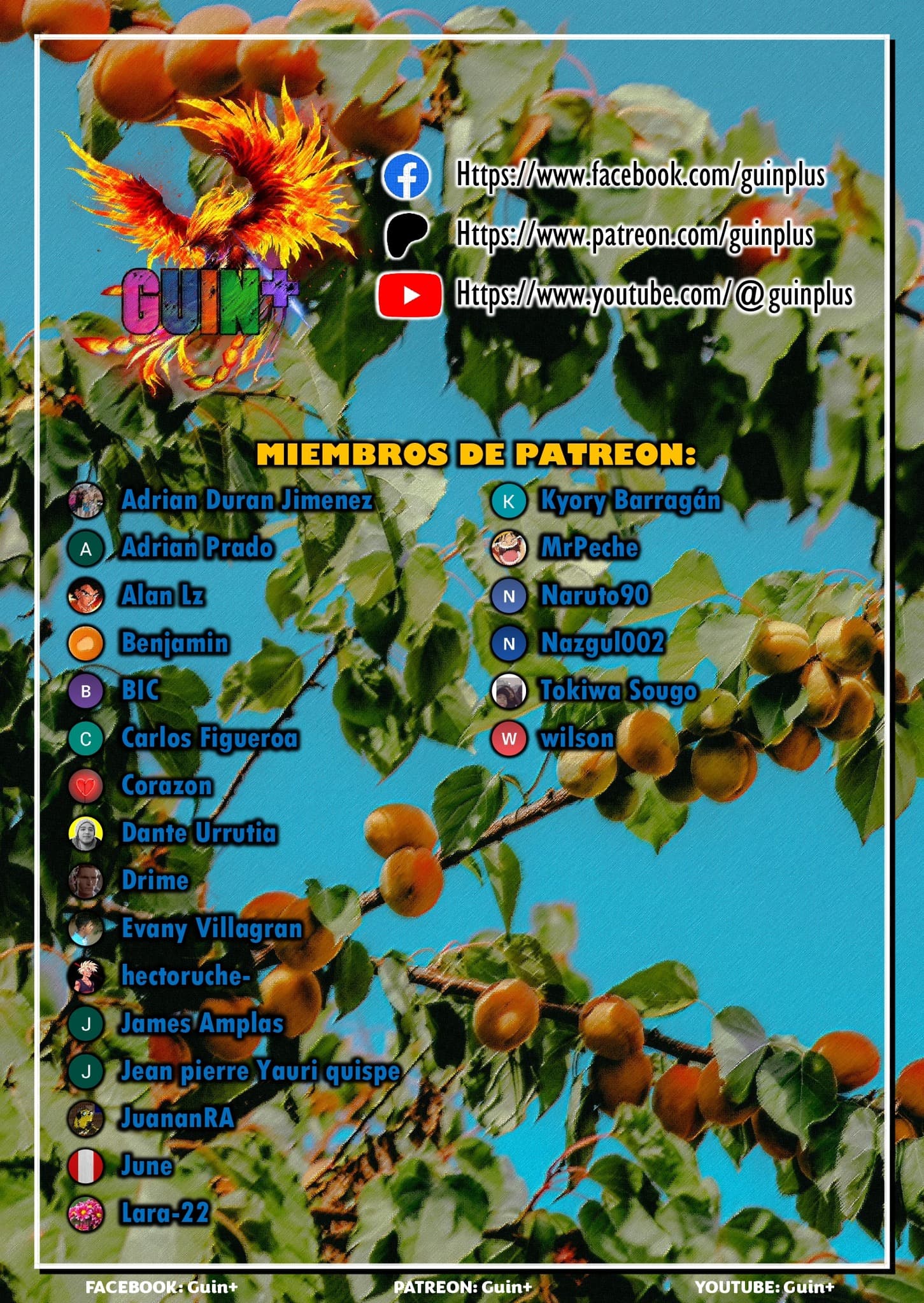 Página 25 de 25