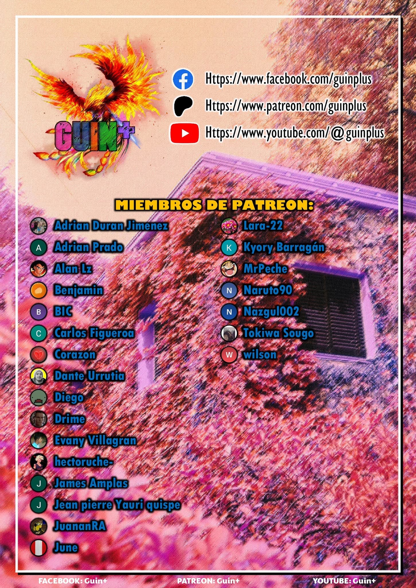 Página 25 de 25