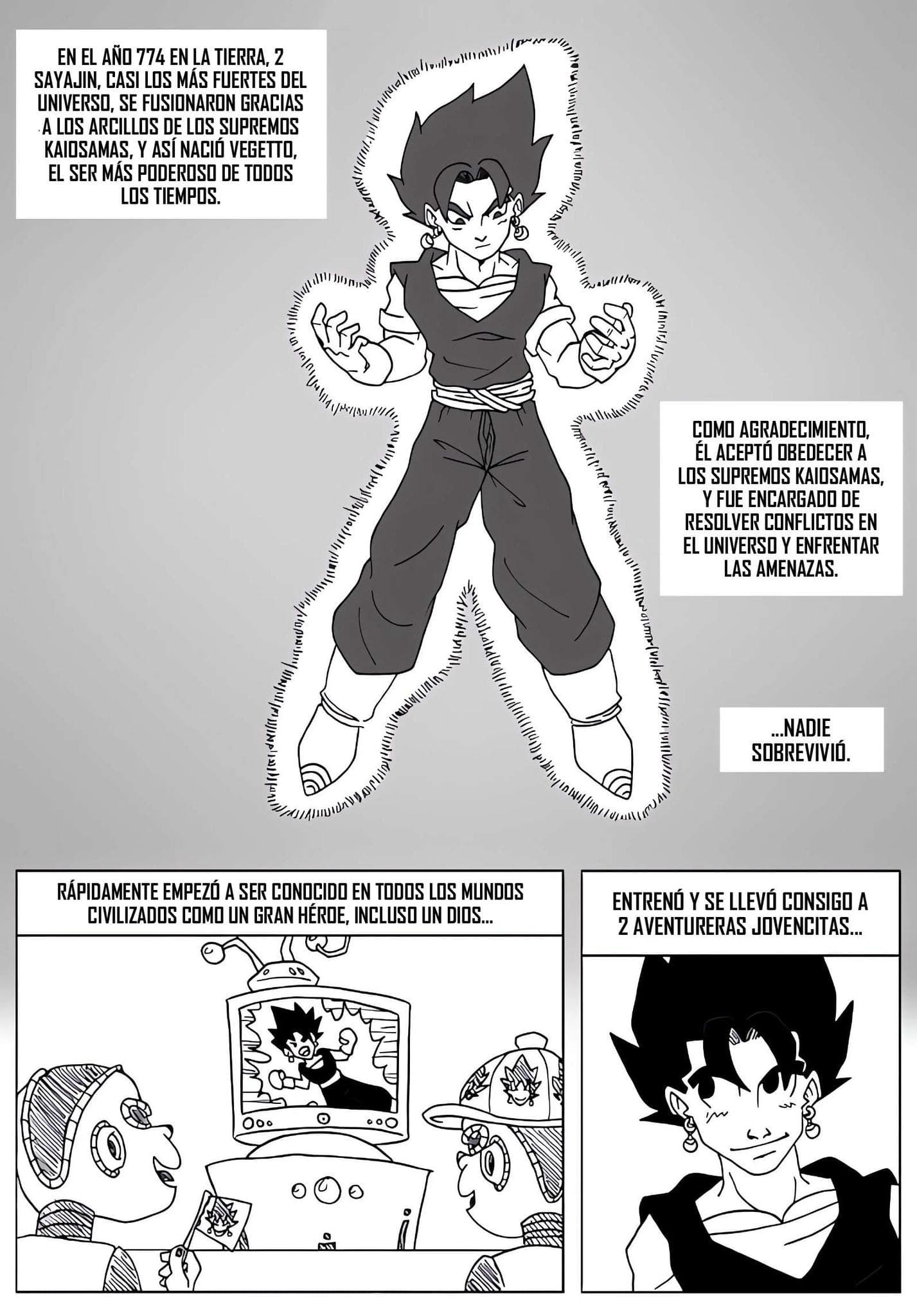 Página 4 de 25