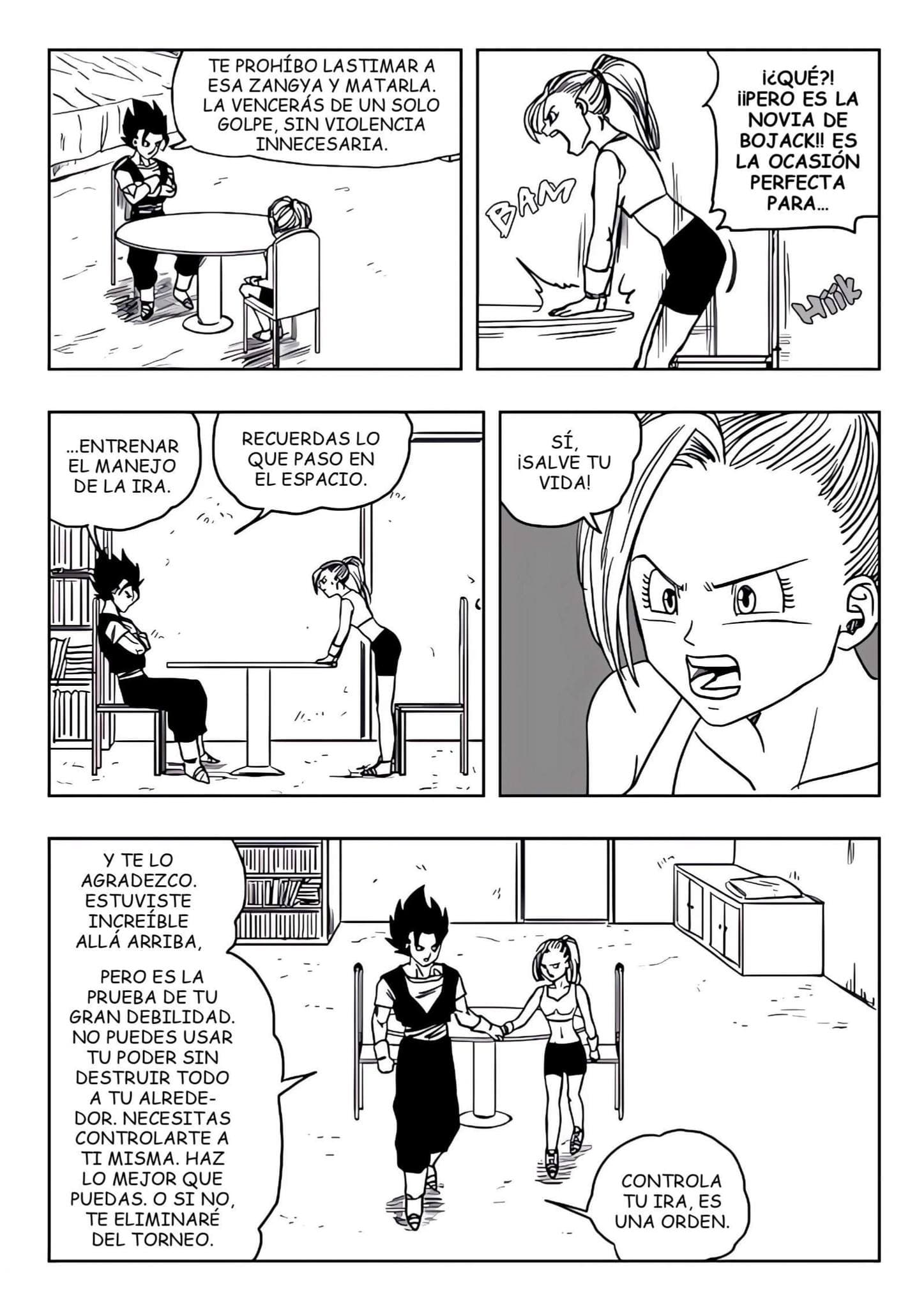 Página 11 de 25