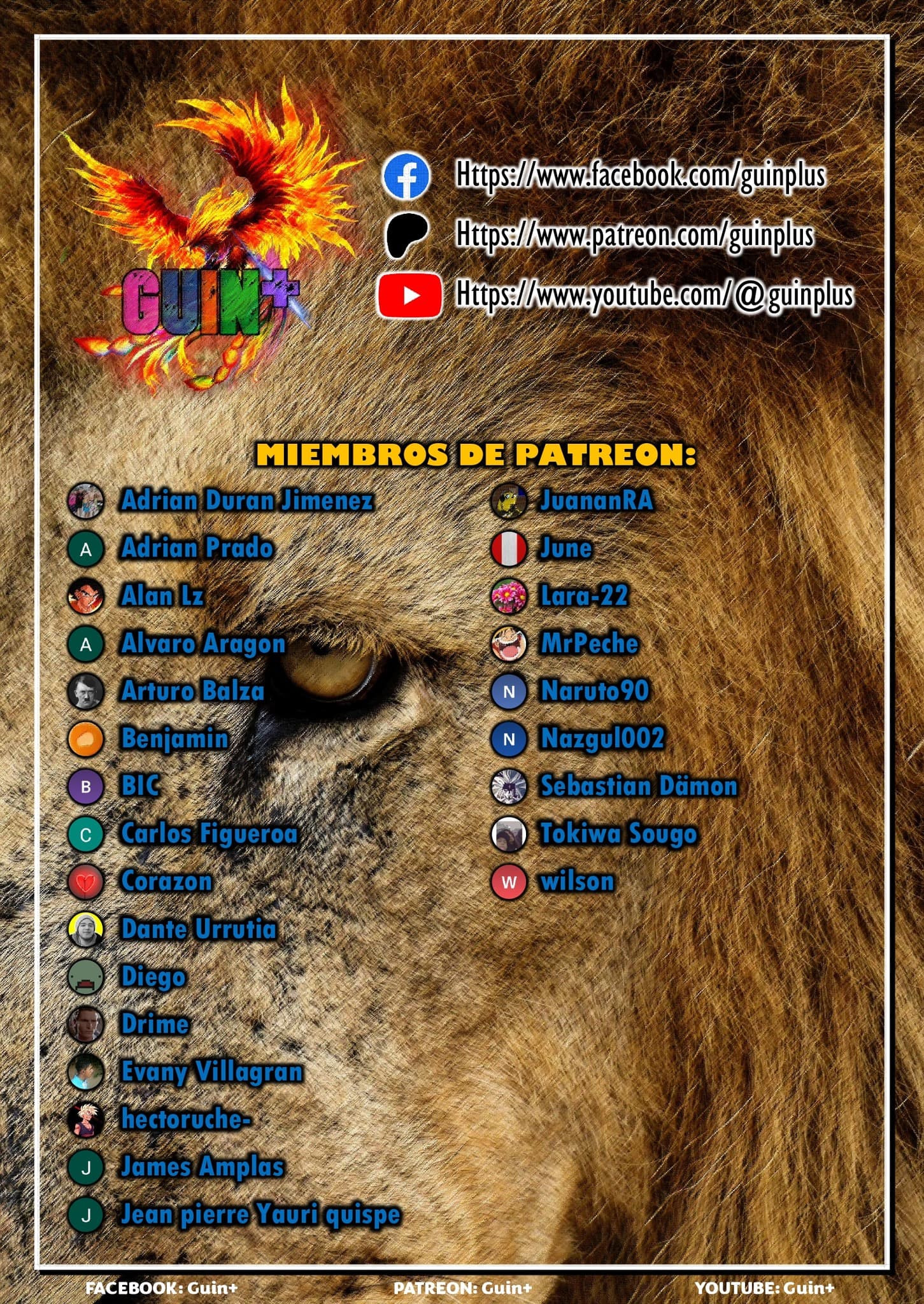 Página 25 de 25