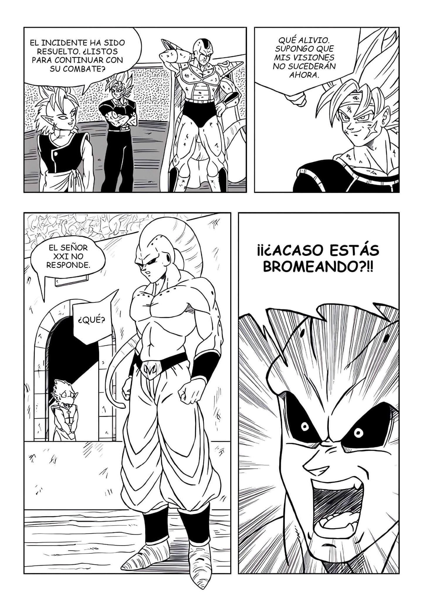Página 12 de 25