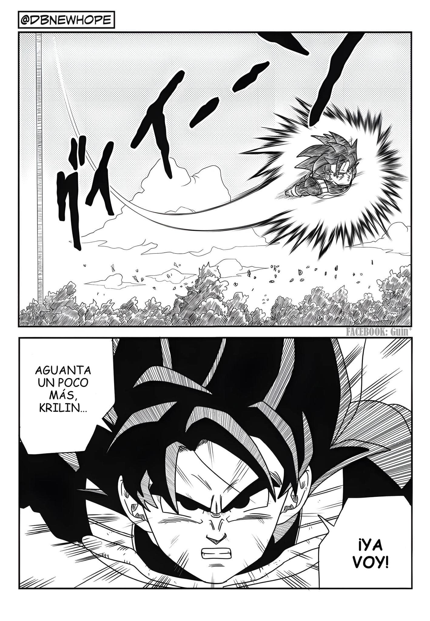 Página 5 de 60